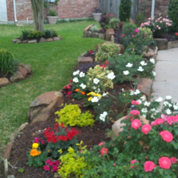 Meet your Posher, Michael - Picture 1 of 1